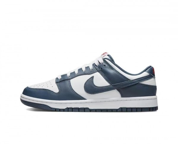 Nike Dunk Retro 